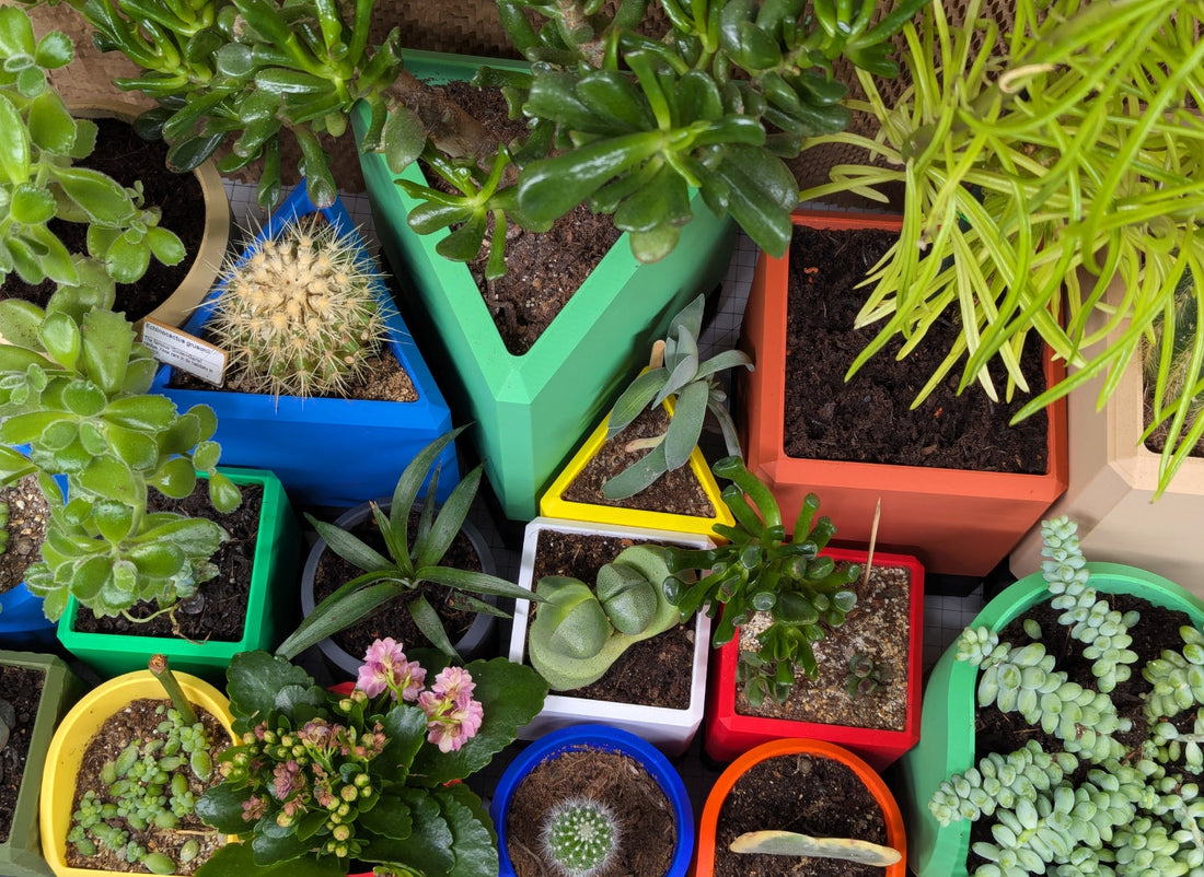 Vase 2.0 | The Plant Put.